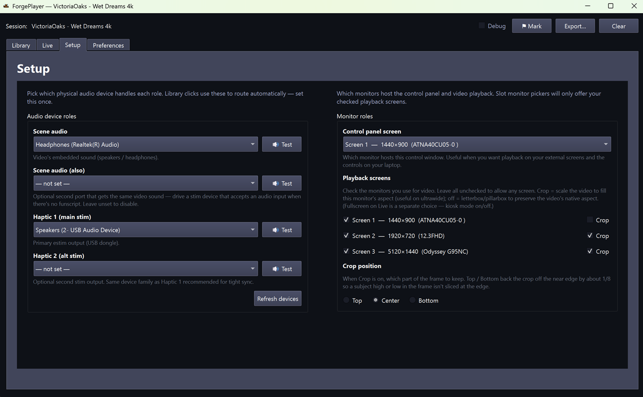 ForgePlayer Setup tab — assign audio devices and monitors